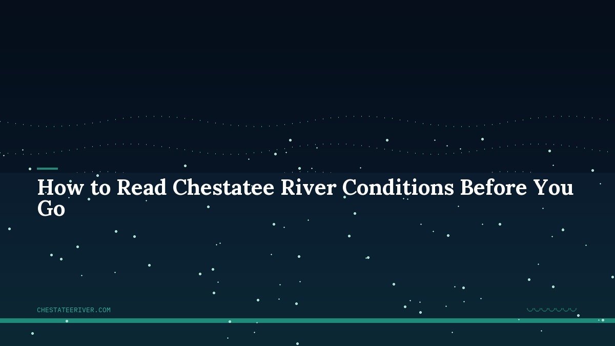 How to Read Chestatee River Conditions Before You Go